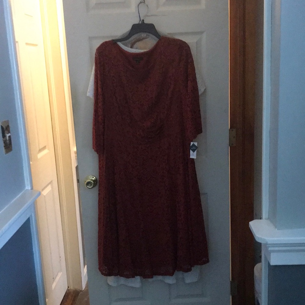 Lost weight to big Rust color Lane Bryant washable size 20